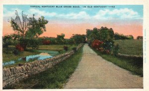 Vintage Postcard Typical Kentucky Blue Grass Road In Old Kentucky E. C. Kropp