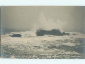 Old rppc NATURE SCENE Great Postcard AB0713