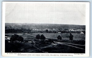 Broadwater Downs from Hotel Wellington TURNBRIDGE WELLS ENGLAND UK Postcard