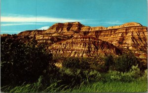 Theodore Roosevelt National Memorial Park ND Badlands Postcard VTG UNP Curteich  