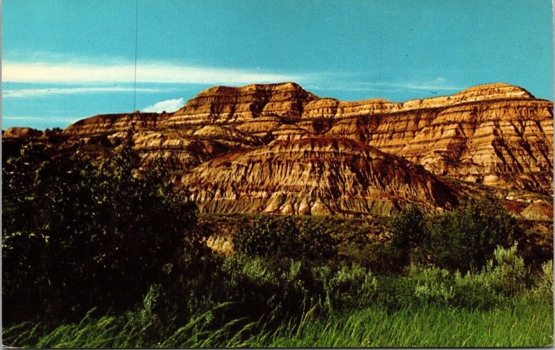 Theodore Roosevelt National Memorial Park ND Badlands Postcard VTG UNP Curteich  