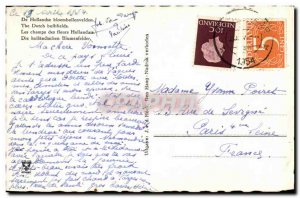Old Postcard Netherlands Dutch Flower Fields