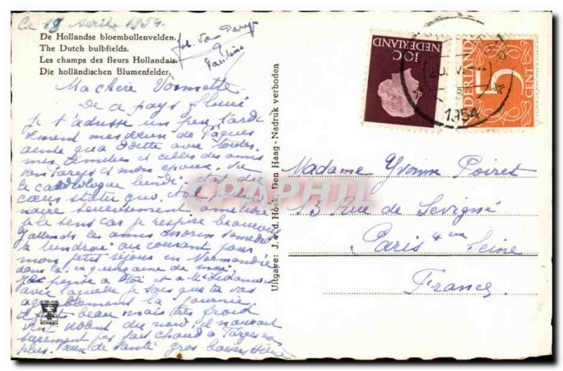 Old Postcard Netherlands Dutch Flower Fields