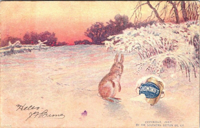 Advertising SNOWDRIFT SHORTENING Bunny~Snow SOUTHERN COTTON OIL 1907 Postcard