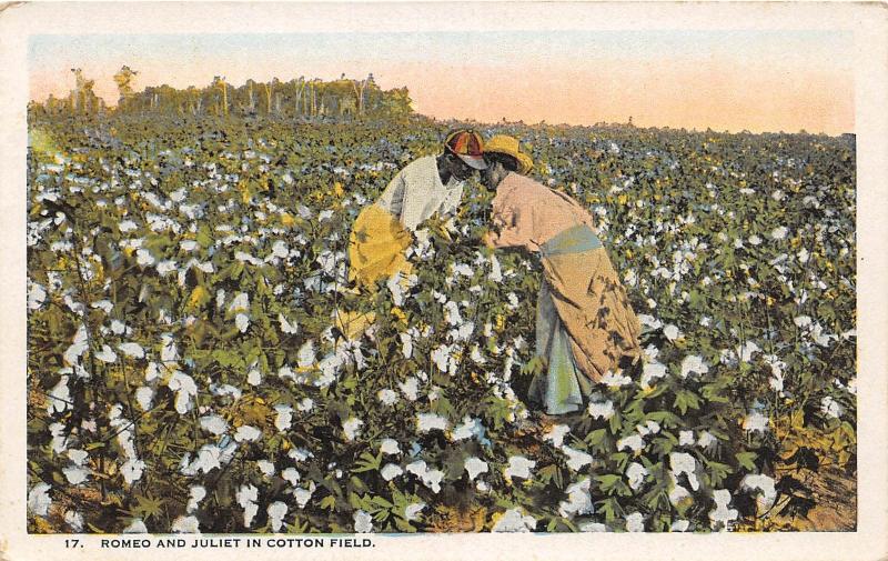 E57/ Black Americana Postcard Romeo and Juliet Cotton Field 12 