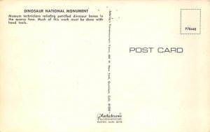 Dinosaur National Monument Pre Historic Unused 