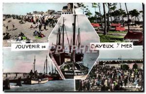 Modern Postcard Souvenir De Cayeux Sur Mer Beach and booths Campers Camping E...