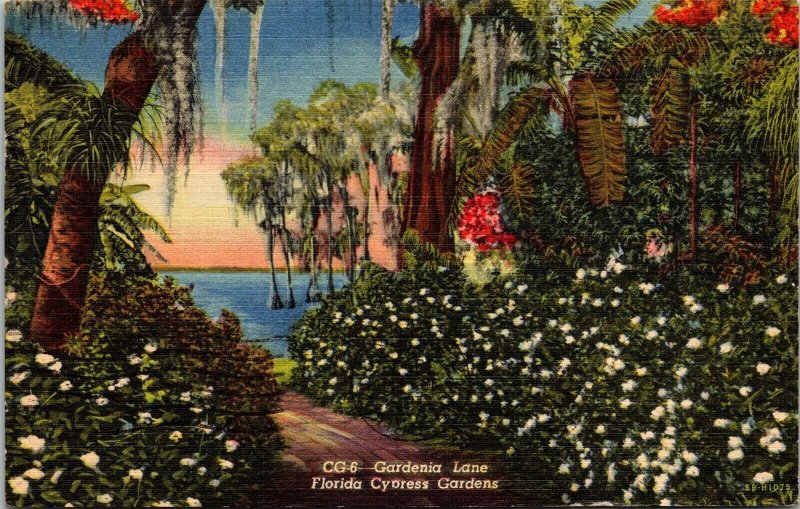 Gardenia Lane Cypress Gardens Florida Tropical Linen Cancel WOB Postcard 