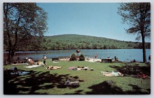 New Preston Connecticut~Lake Waramaug State Park Shoreline Scene~Vintage PC