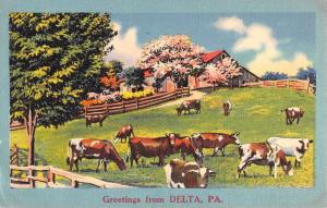 Delta Pennsylvania Cow Pasture Greeting Antique Postcard K58018