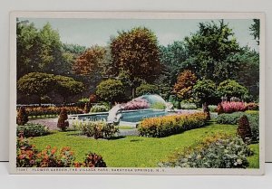 Saratoga Springs NY Flower Garden In The Village Park Postcard Phostint B1