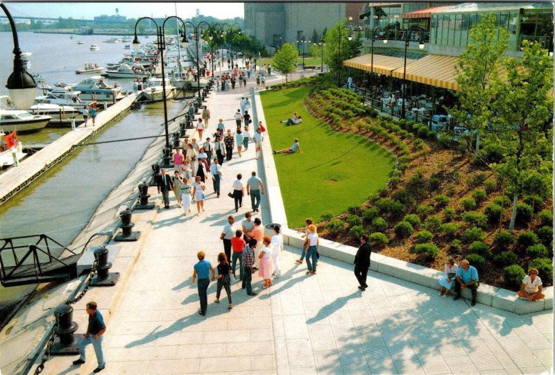 2~4X6 Postcards  Toledo, OH Ohio  PROMENADE PARK  Waterfront~Darryl's Food Truck