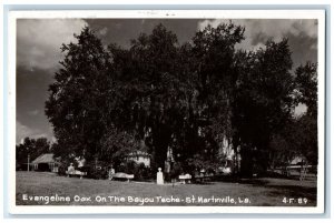 Evangeline Oak On The Bayou Teche St. Martinville LA Cline RPPC Photo Postcard