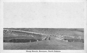 Postcard North Dakota Bowman Sheep Ranch Bloom Bros 23-376