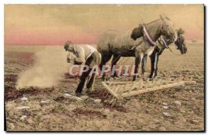 Old Postcard Folklore Harrowing Horses