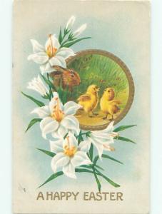 Divided-Back EASTER BUNNY RABBIT SCENE Cute Postcard AA1200