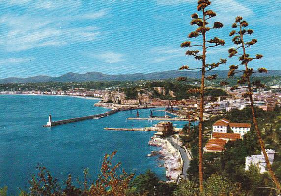 France Nice Port de Nice et Monument aux Morts