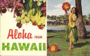 Hawaii HI, Large Letter, Aloha Greetings, Beautiful Woman, Hula Dancer, Flowers