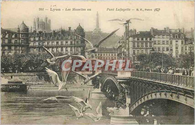 Old Postcard Lyon Seagulls Lafayette Bridge