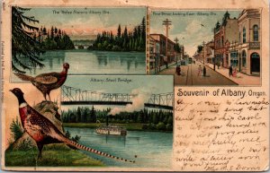 Postcard Three Sisters, Steel Bridge, First Street in Albany, Oregon