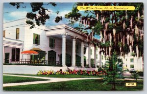 Biloxi Mississippi~Front of White House~Vintage Linen Postcard