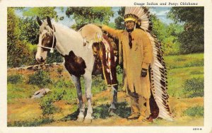 Osage Indian & Pony, Oklahoma Native Americana c 1940s Vintage Postcard