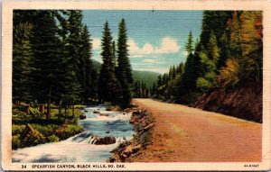 USA Spearfish Canyon Black Hills South Dakota Vintage Postcard 09.69