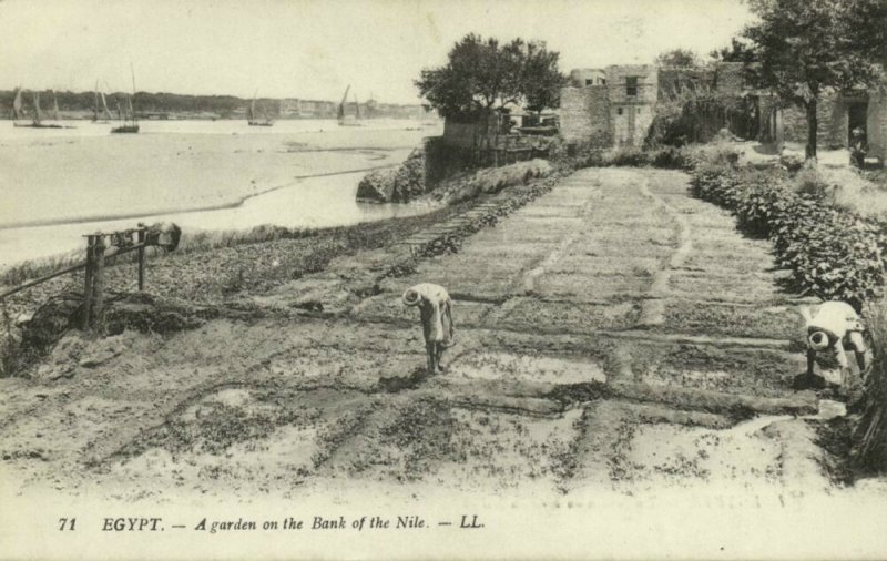 egypt, CAIRO, A Garden on the Bank of the Nile (1910s) LL. 71