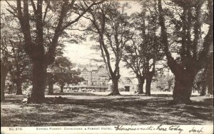 Antique Postcard EPPING FOREST CHINGFORD ESSEX Forest Hotel