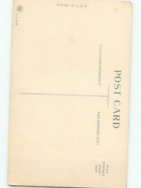 Divided-Back DOG SCENE Great Postcard AA9318