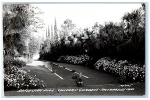 1948 Reflection Pool Killearn Gardens Tallahassee FL RPPC Photo Postcard 