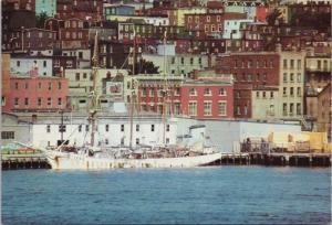 The Harbour at St. John's NFLD Newfoundland NL Unused Vintage Postcard E14