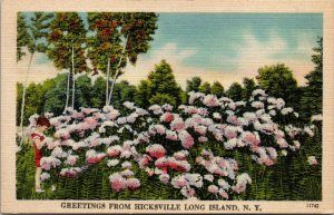 Vtg 1930s Greetings from Hicksville Long Island New York NY Unused Postcard