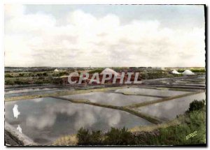 Modern Postcard Atlantic Coast Salterns