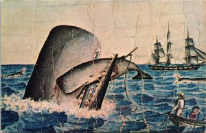 Whaling Museum Cow Whale Calf Ship PPL New Bedford Massachusetts MA Postcard UNP 