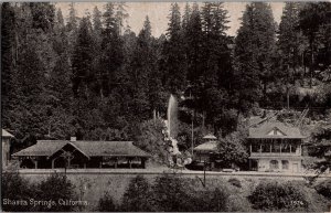 View of Shasta Springs CA Vintage Postcard O53