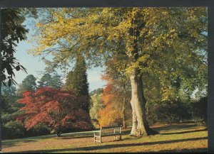 Sussex Postcard - Sheffield Park Gardens, The Garden in Autumn Colour  T1576
