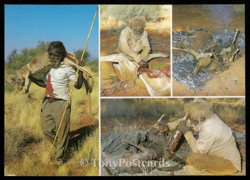 Traditional Kangaroo Hunting and Cooking