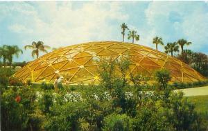 TAMPA FLORIDA BUSCH GARDENS GEODESIC DOME HOME OF EXOTIC BIRDS POSTCARD c1960s
