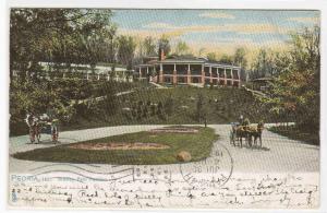 Bradley Park Pavilion Peoria Illinois Tuck postcard