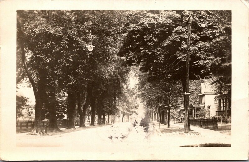 Real Photo Postcard Residential Street in Moline, Illinois~272