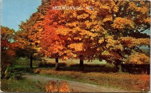 Mukwonago Wisconsin Scenic Autumn Landscape Roadway Forest Chrome Postcard 