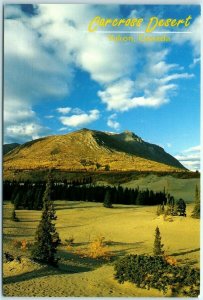 M-20295 Carcross Desert Yukon Canada