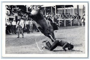Sidney Iowa IA Postcard Championship Rodeo Cowboy Stadium 1941 Vintage Antique