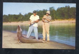 WHITE RIVER ARKANSAS 230 LB. GAR FISH CATCH FISHING VINTAGE POSTCARD