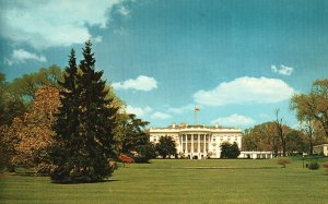 Vintage Postcard The White House and Grounds President's Home Washington DC DNCI