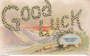 Language of Flowers ; White Heather = GOOD LUCK , PU-1910