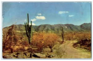 1956 South Mountain Park Phoenix Arizona AZ Vintage Natural Color Card Postcard