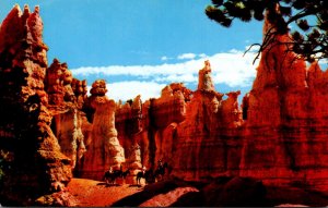 Utah Bryce Canyon National Park Horseback Riders At Queen Victoria