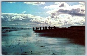 Shoreline, Prince Edward Island National Park, PEI, Vintage Chrome Postcard, NOS